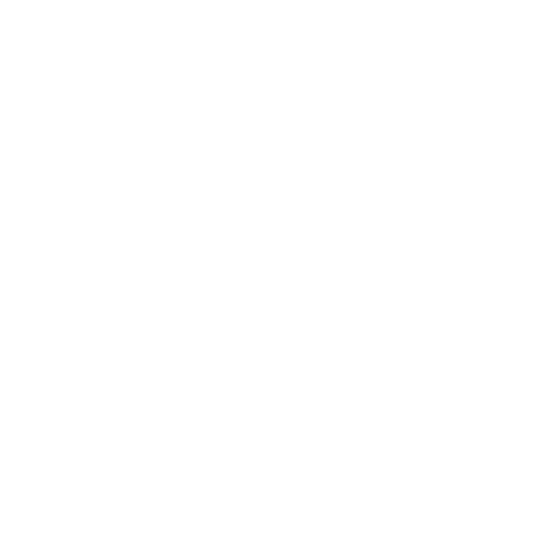 Logótipo dos toalhetes Dude